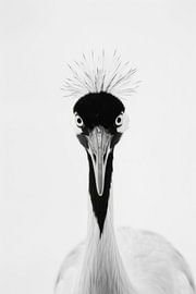 Crane by Poster Art Shop