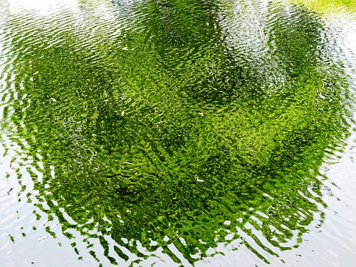 Urban Reflections 126