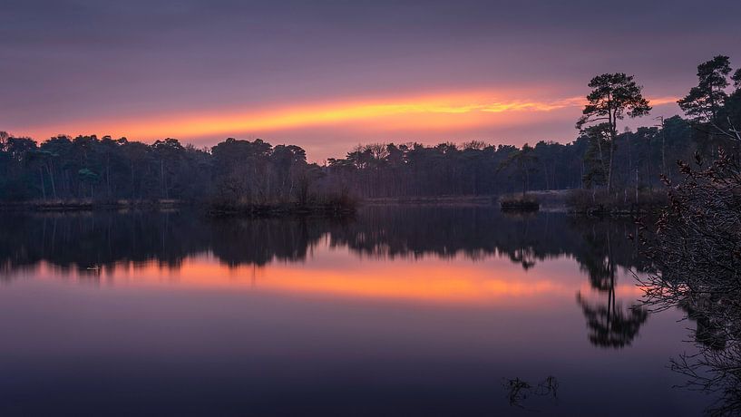 Groot Goorven, Oisterwijk by Patrick Rosenthal