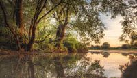 Midsummer night's dream van Remco Lefers thumbnail