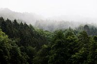 Misty mood