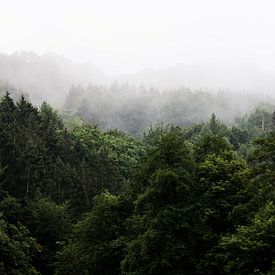 Misty mood van Erwin Dijkshoorn