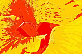 Une fleur de canna orange, technique mixte sur Werner Lehmann