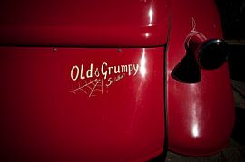 Old and Grumpy by Sonja Pixels