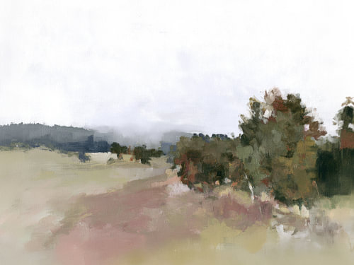 Misty Field Landscape