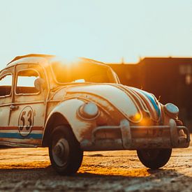 een gouden morgen met Herbie