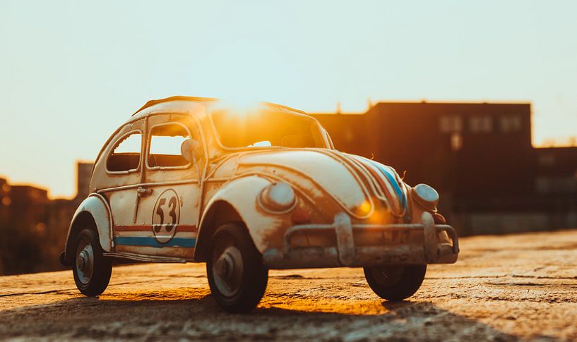 a golden morning with Herbie by Leo leclerc
