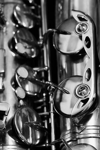 De Saxofoon - Zwart-wit versie