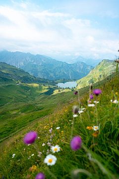 Bloemrijk uitzicht op de Seealpsee in de Allgäuer Alpen van Leo Schindzielorz