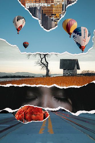 Dreaming of a tiny house, 2