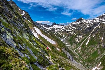 Alpenlandschap in Oost-Tirol van Holger Spieker