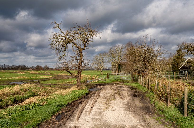 Le printemps 2020, un printemps bruyant. Paysage néerlandais près de Maartensdijk. par Marc Wielaert