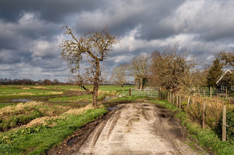 Niederländische Landschaft bei Maartensdijk von Marc Wielaert