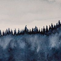 Forêts de conifères tempérées