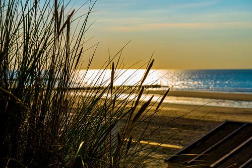 Sea view from the dunes