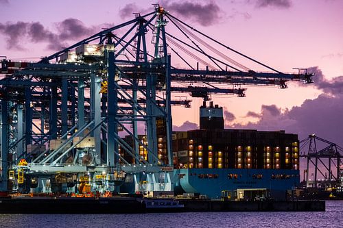 Container terminal 5