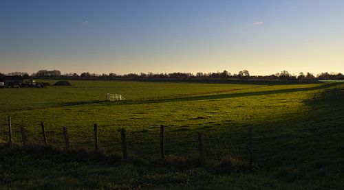 Une clôture dans le pré