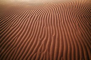 Die Falten der Wüste von Loris Photography