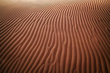 De rimpels van de woestijn van Loris Photography
