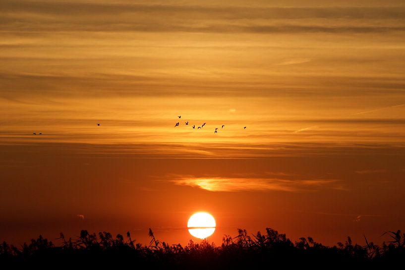 Sonnenuntergang von Bert Bouwmeester