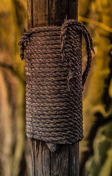 Old Makiwara by Tinus Tibbe