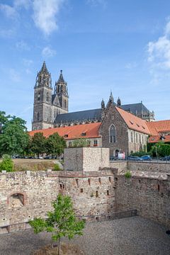 Magdeburg - Bastion Cleve (Gebhardt) and Magdeburg Cathedral by t.ART