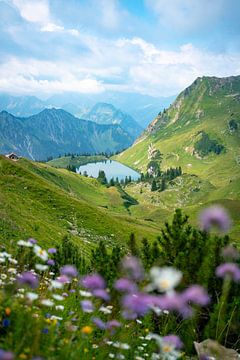 Bloemrijk uitzicht op de Seealpsee in de Allgäuer Alpen van Leo Schindzielorz