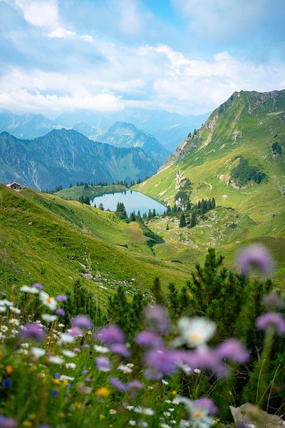 Flowery view of the Seealpsee in the Allgäu Alps by Leo Schindzielorz