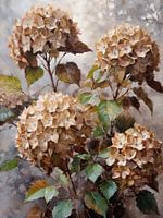 Hortensia à bulbe en automne