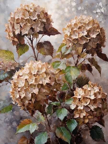 Hortensia à bulbe en automne par Retrotimes