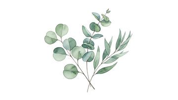 Silver Dollar Eucalyptus: Minimalist Watercolor Botanical Branch