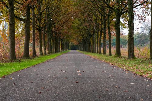 A long, straight road full of promise and hope.