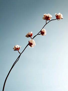 Lichter einer neuen Welt