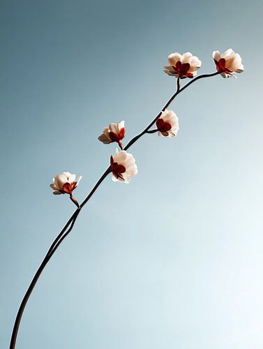 Lichten van een nieuwe wereld