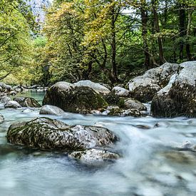 Vikos, Griechenland von Jarne Buttiens