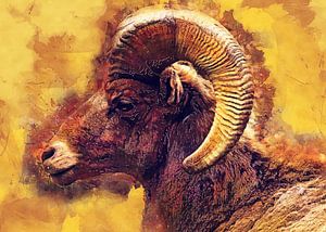 Mufflon Tierkunst #Mouflon