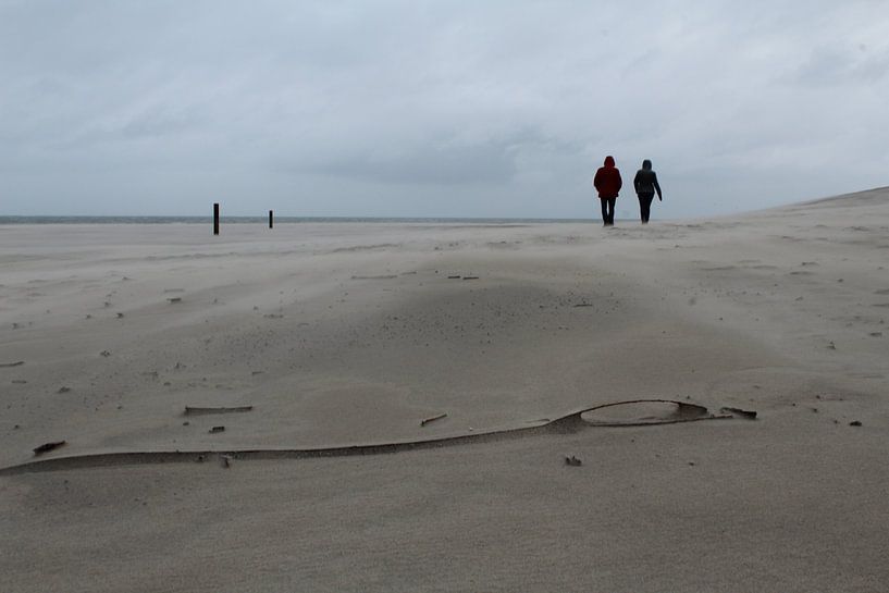 Walk by the sea by Mathilde Witteveen