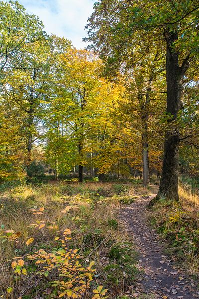 Herbst12 von Geertjan Plooijer