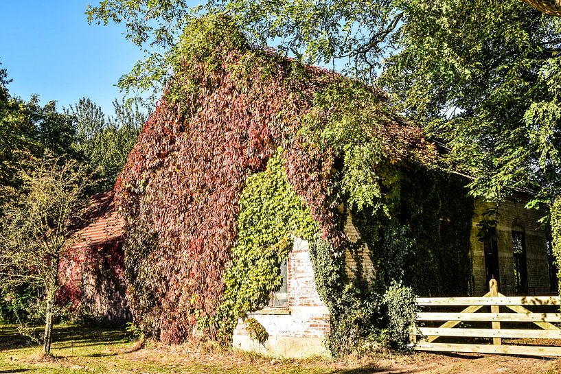 Kunst van de herfst van Marjo Kusters