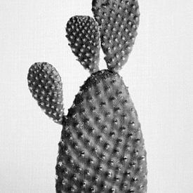 Cactus - Zwart & Wit van Gal Design