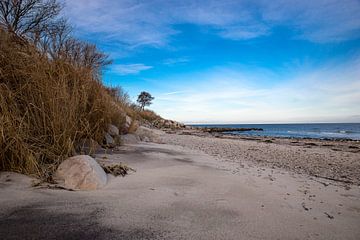Wilder Strand von Tom van Dutch