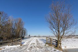 Niederländische Winterlandschaft von Sander Groenendijk