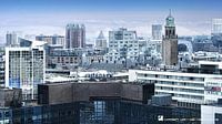 Rotterdam from the rooftops, what a view!