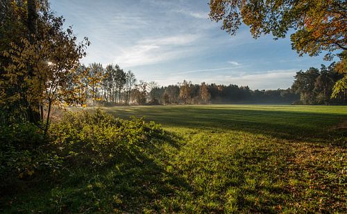Lage oktoberzon over de weilanden
