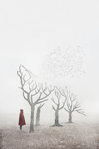 Rotkäppchen und der Wolf von Elianne van Turennout