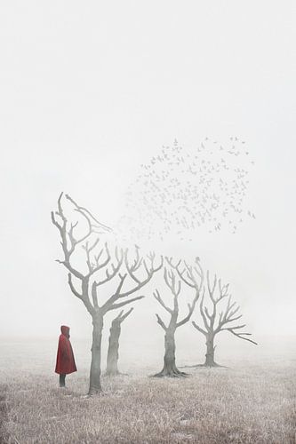 Little Red Riding Hood in Enchanted Forest with Wolf Silhouette - Mystical and Magical Wall Decor