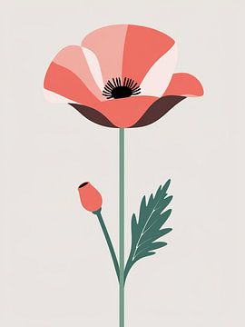 Korallenmohnblüte von Giandra Safaraz