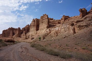 Mooie Canyon in Kazachstan van Lindy van Oirschot