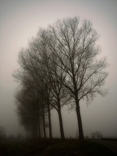 Krabbedijk