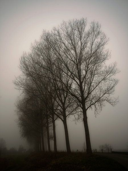 Krabbedijk von Mario de Lijser